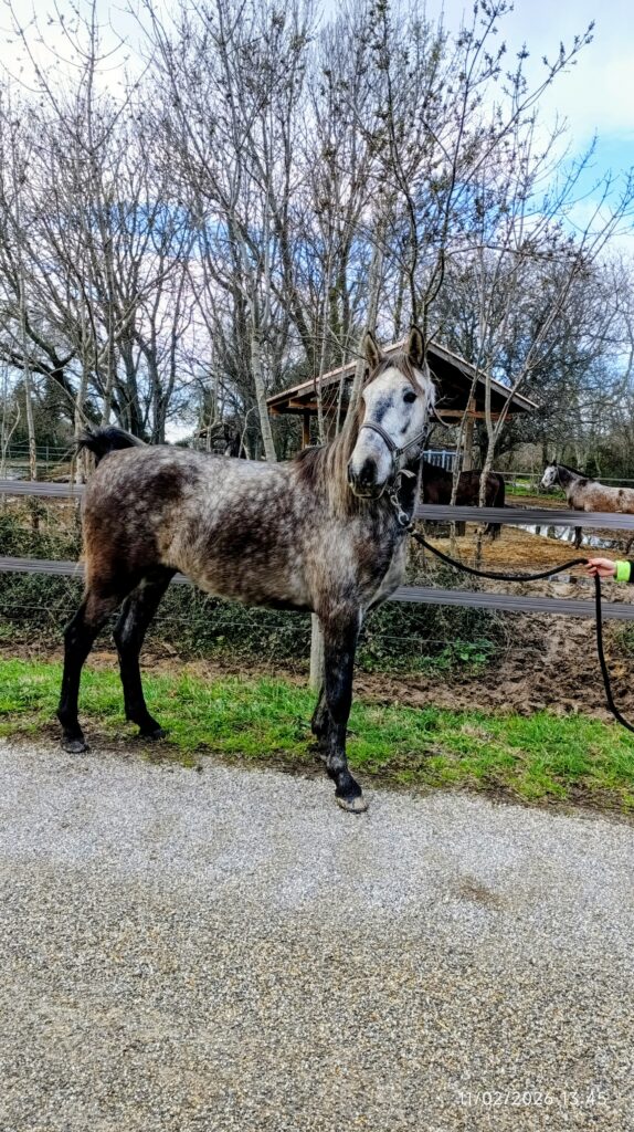 IMG_20260211_134545~2