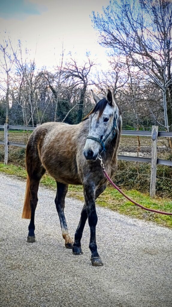 IMG_20260211_135403~2