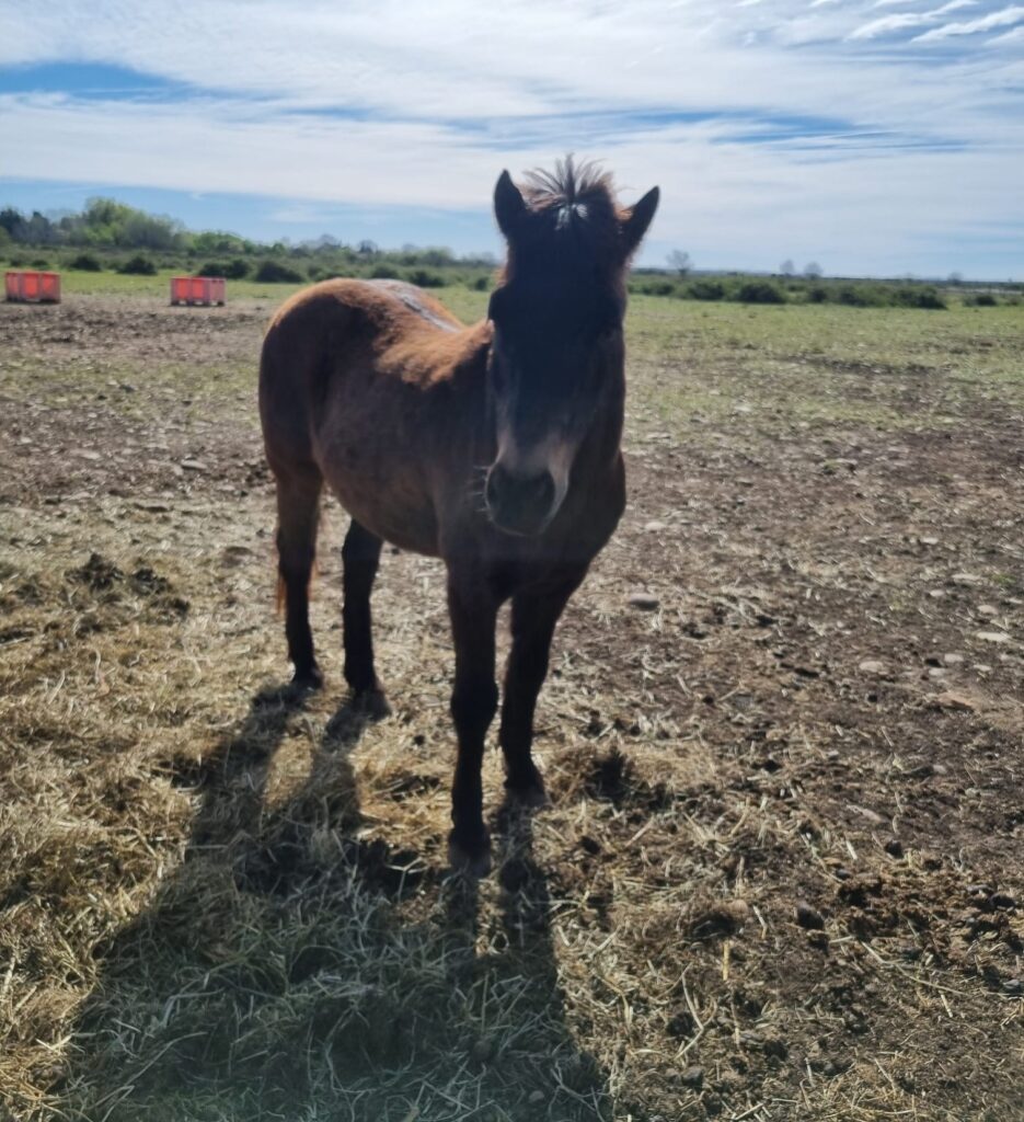 a920d95b-0393-4ac1-b93f-aae7faa0190c