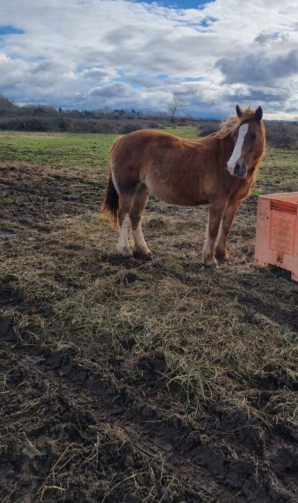 f0dbeb55-33b7-4f88-a076-b3d80b00bbca