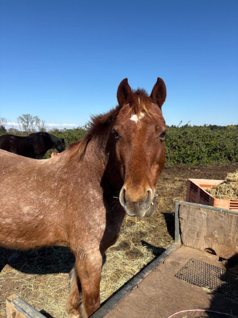 f4df0e11-8074-4a68-b9a1-cd6971db0969